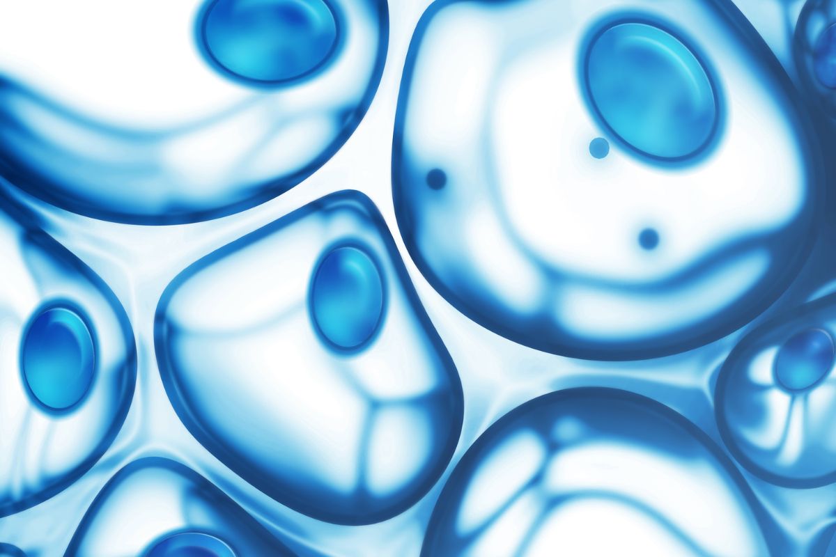 Burnout Recovery Starts at the Cellular Level