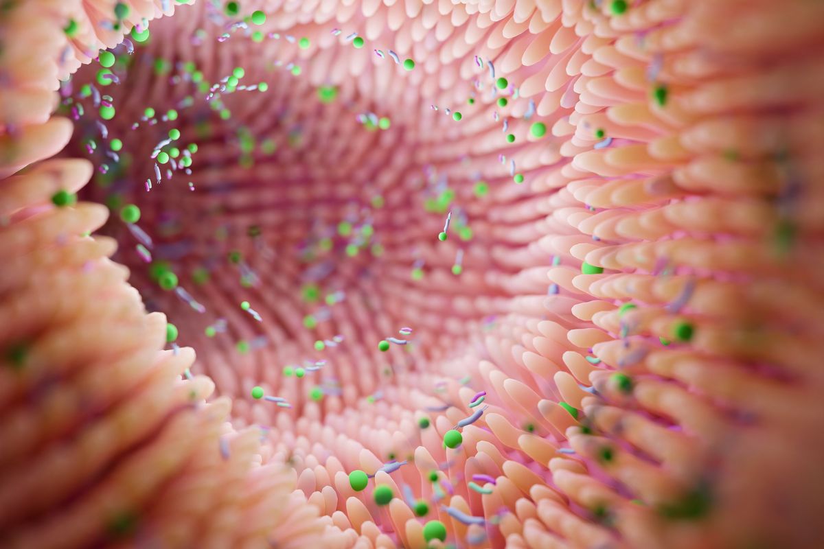 Fix Your Gut, Save Your Brain: The Real Path to Long-Term Vitality