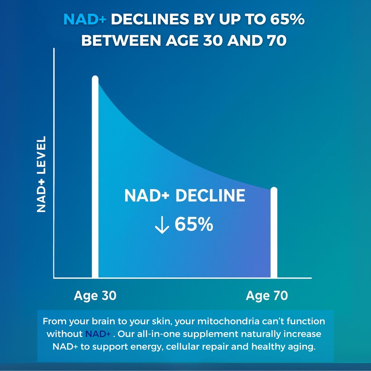 Daily Longevity Elixir: All-In-One-Supplement